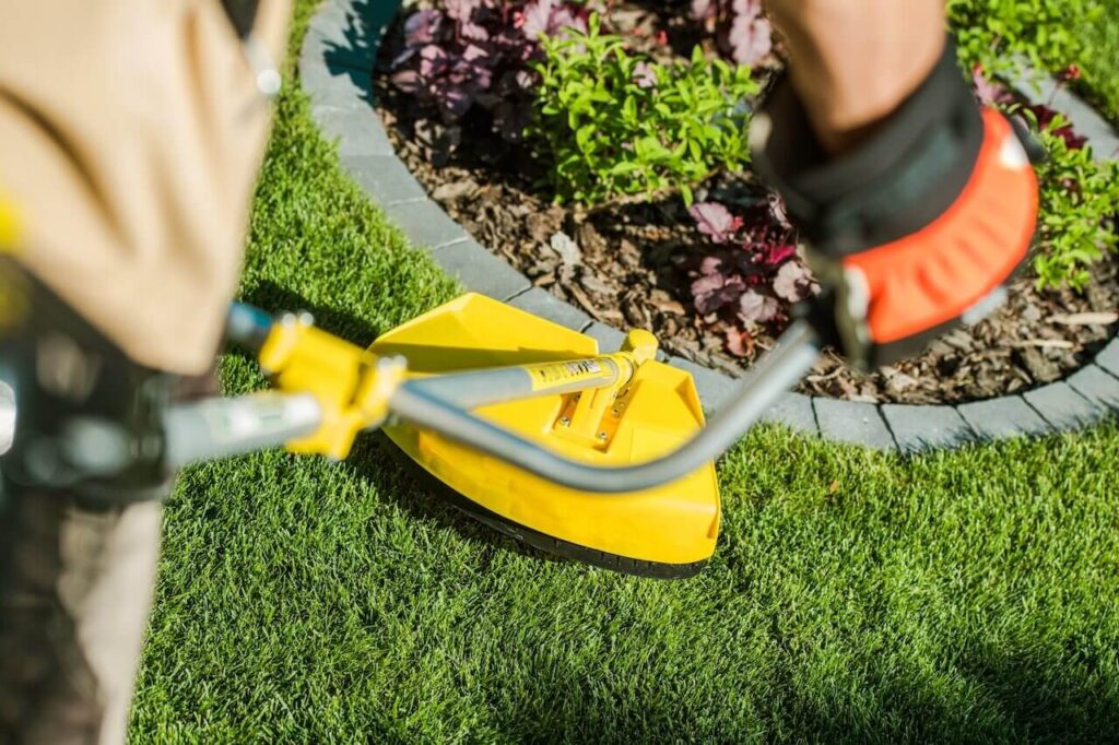 Jak wybrać odpowiednią podkaszarkę do trawy?