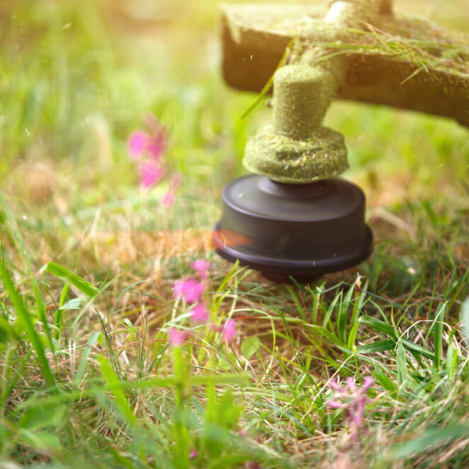 jaka kosa spalinowa do trawnika