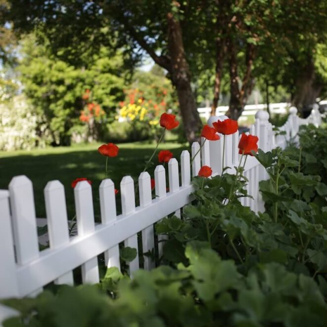 biały płot to świetne ogrodzenie do ogrodu