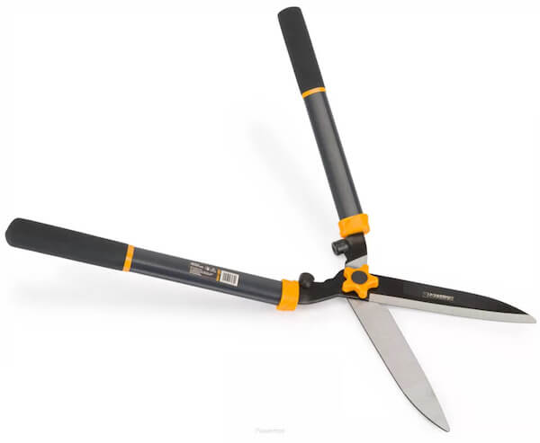 kiedy przycinać drzewa owocowe? wiosną w pracy pomogą Ci nożyce