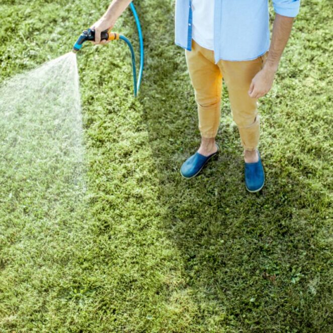 Podlewanie trawnika - najważniejsze wskazówki