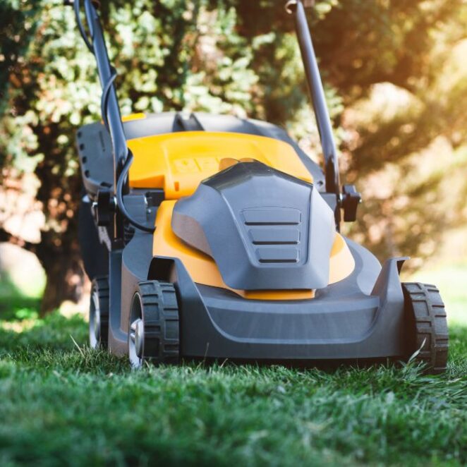 Kosiarka do małego ogrodu - jaką wybrać? Wskazówki
