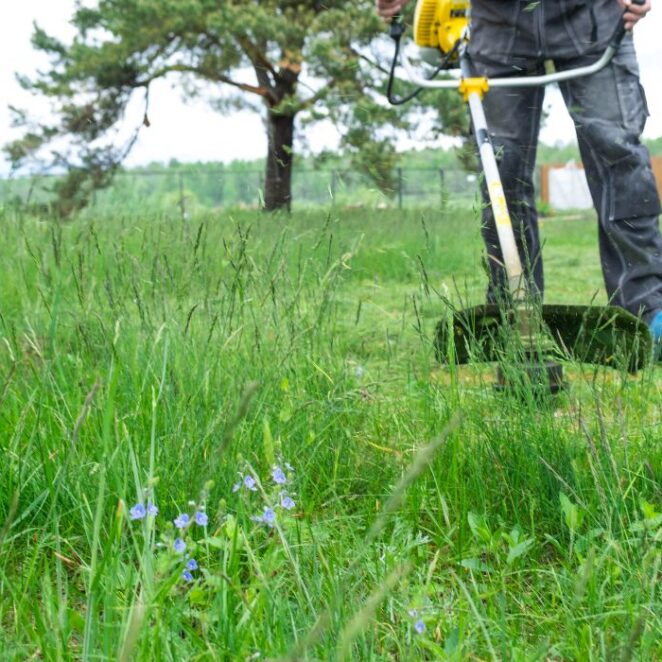 Czym kosić wysoką trawę? Lista najlepszych narzędzi