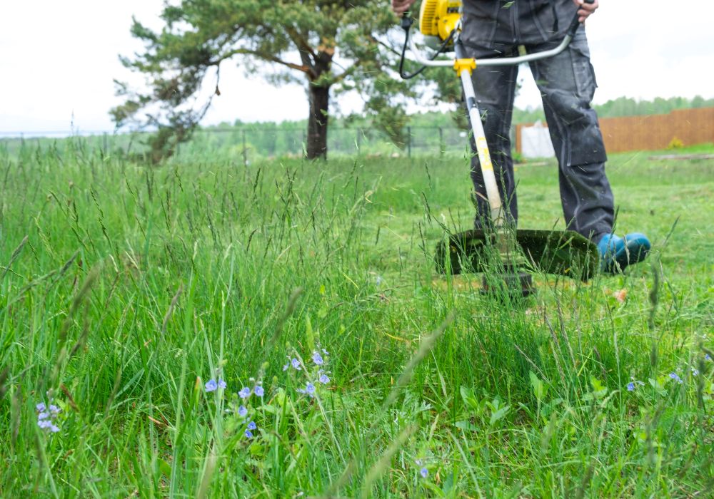 Czym kosić wysoką trawę? Najlepsze urządzenia