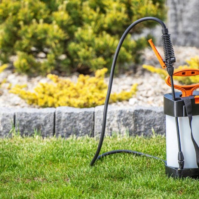 Jaki opryskiwacz akumulatorowy kupić? Wskazówki