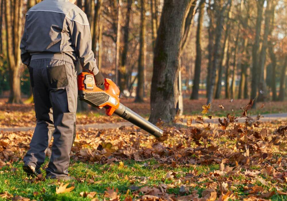 Najmocniejsza dmuchawa do liści – ranking