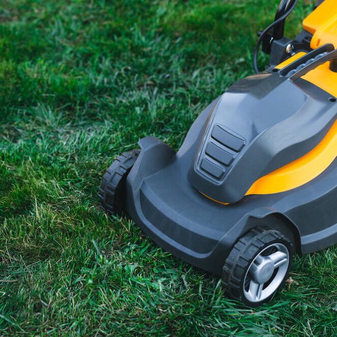 Jaka kosiarka akumulatorowa? Wskazówki i polecane urządzenia