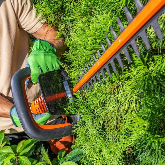 Nożyce do żywopłotu elektryczne – ranking top4