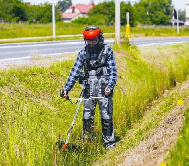 Kosa spalinowa – ranking modeli Powermat i Red Technic